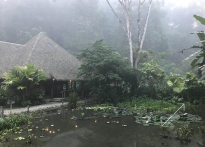 Esquinas Rainforest Lodge