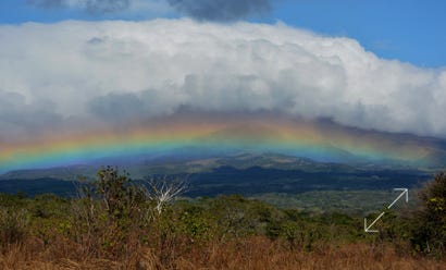 Dry Forest Guanacaste