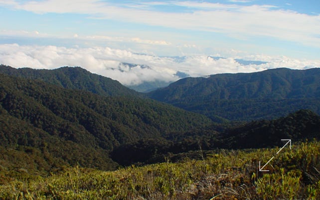Los Quetzales National Park, Costa Rica